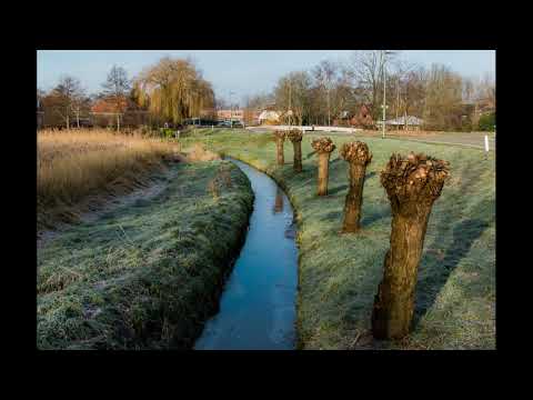 Een Kleine Winterwandeling bij de Boonerplas en de Vlieten bij Maassluis