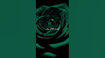 صدق الله العظيم #قران #تلاوة_خاشعة #اكسبلور #لايك #قران_كريم #راحة_نفسية