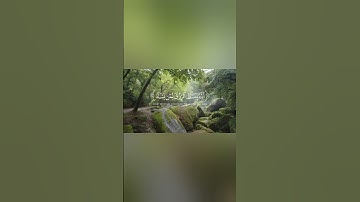 مقاطع قصيرة من القرآن الكريم سورة العنكبوت