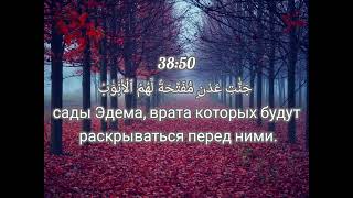 Прекрасное чтение - Мухаммад Раад Курди Сура Сад