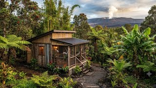 Information 15,000 tiny house in Hawaii I'm probably going to buy Update
