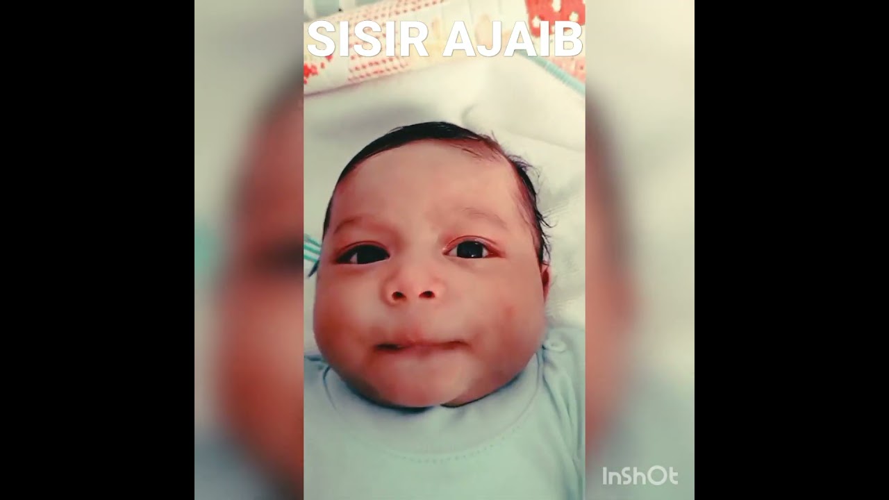 jadi Playboy gara gara sisir AJAIB @Pinkfong #music #baby