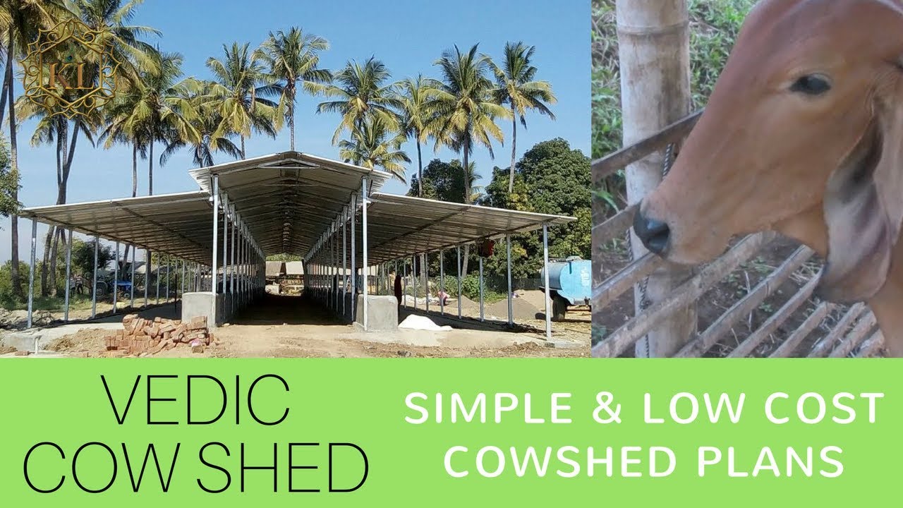 Dairy Shed Design Cow Dairy Farming Vedic Panchabhoota 