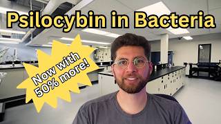 How To Make More Psilocybin In Bacteria Journal Club