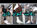 رقابت کبوتر بازی بین کبوتران عباس سواری و علی طرفی 