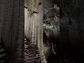 Beneath the Surface #mustsee #viralvideo