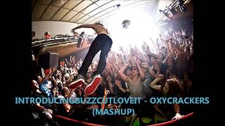 Introducing Buzzcut Love It - Oxycrackers (Mashup)