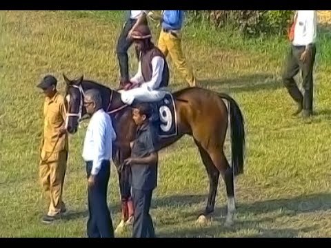 Lumenac with P Trevor up wins The Tiger Tops Handicap 2018