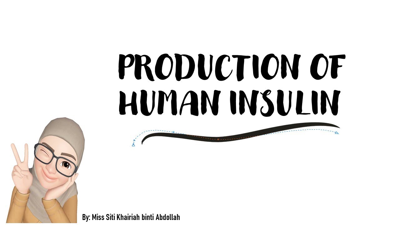 Production of human insulin YouTube