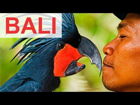 Video: Un Ghid Pentru Vulcanul Muntelui Batur în Bali, Indonezia