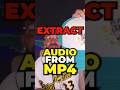 Extract Audio From MP4 Flixier