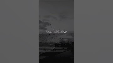 سورة الملك 🎧🤍 بصوت القارئ ادريس ابكر #القرآن_الكريم
