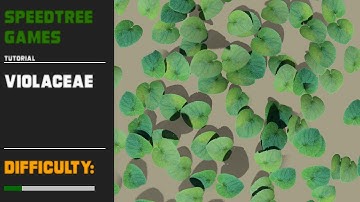 Speedtree: creation of a 3D garden | Violaceae