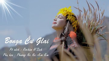 MV Jrai | Bơnga Chư Glai | H