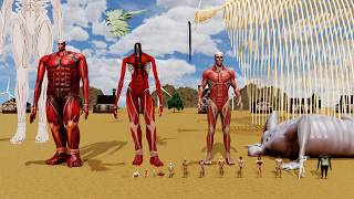 Attack On Titan Size Comparison 3D 2026 | Colossal Titan vs Founding Titan vs Wall Titan