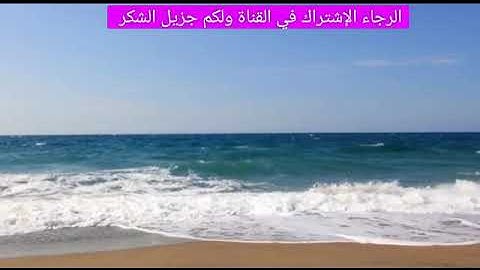 سورة القيامة