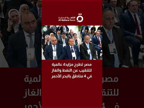مصر تطرح مزايدة عالمية للتنقيب عن النفط والغاز في 4 مناطق بالبحر الأحمر