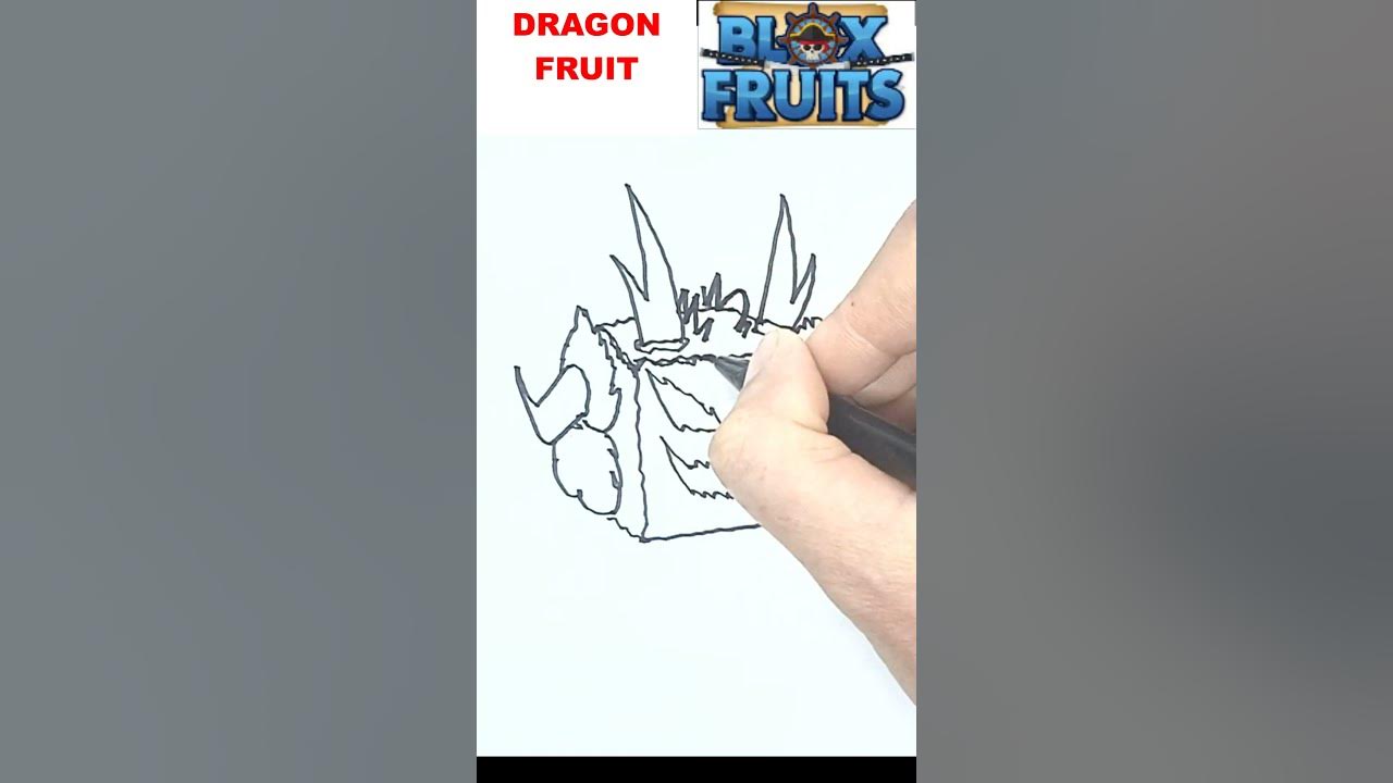 How to draw Dragon Blox Fruits in 2023  Dragon drawing, Fruits drawing,  Animal drawings