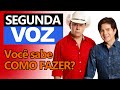 COMO FAZER SEGUNDA VOZ?