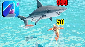 Shark Attack - All Levels Gameplay Android,ios (Part 2)