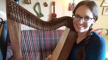 Review of Rees Harps Shaylee Meadows Double Strung Harp