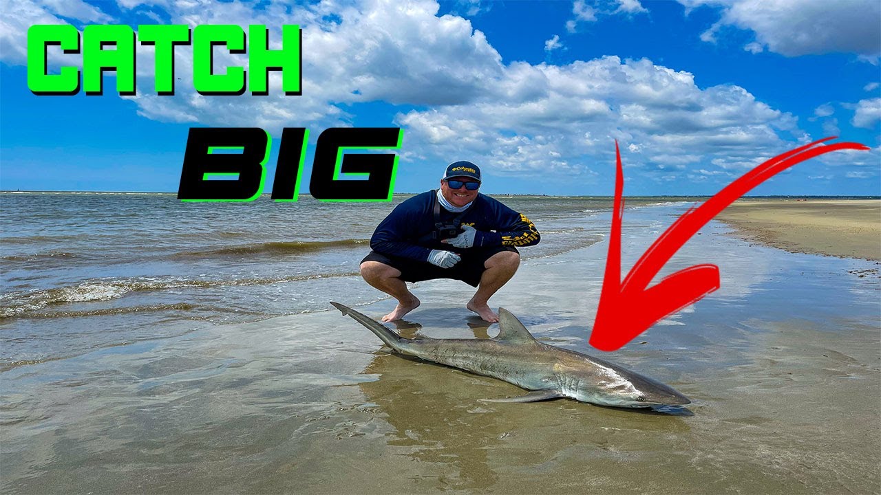 SURF FISHING in Charleston, South Carolina for SHARKS!!! 