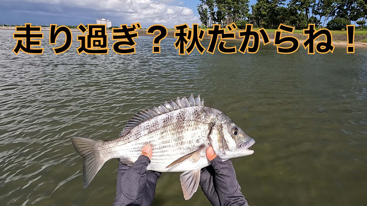 FlyFishing 2023年9月浜名湖クロダイ〜渚園上潮三昧〜