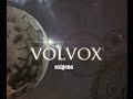 Volvox   Oxigeno - The Living Room Session