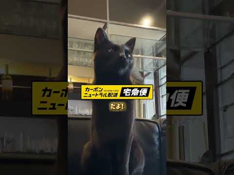 ヤマトクイズ！ カーボンニュートラル配送