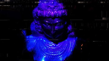 Leto - Into the wild (official video)