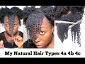 My Natural Hair Curl Pattern Kinky Coily Hair Type 4C 4B 4A with Lot of Shrinkage