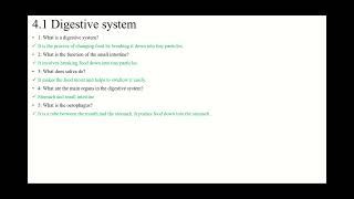 (4.1) Digestive system Worksheet