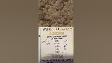 Classical Conversations Cycle 1 week 11 Science (5th edition)