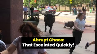 Abrupt Chaos: Moments That Escalated Quickly!