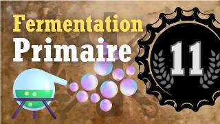 Fermentation Primaire ⚗️🫧 - Ton Premier Brassin