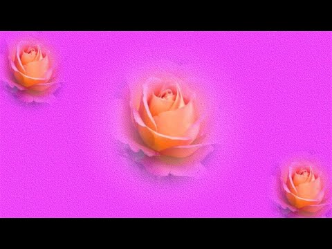 Футаж С Днем влюбленных
