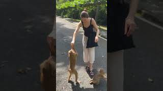 Monkey Disapproves Girl’s Attempt to Pet It