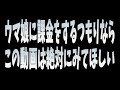 【ウマ娘】課金について語った動画【biimシステム】