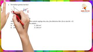 Mencari Luas Segitiga Siku - Siku (Matematika Kelas 8)
