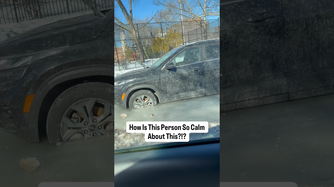 Я никогда в жизни такого не видела 🤯 