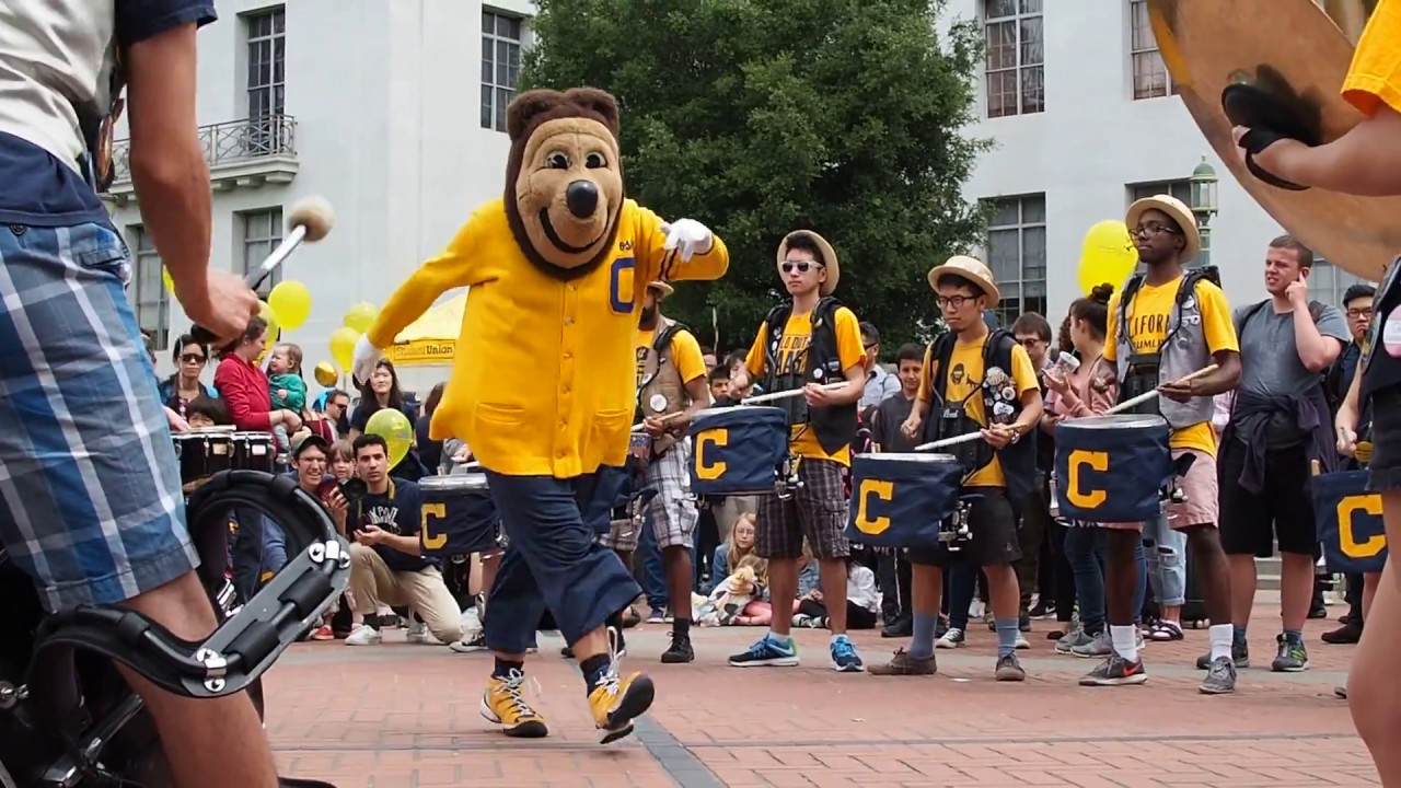 Oski Bear And The Cal Marching Band Full Video YouTube oski-bear-and-the-cal-marching-band-full-video-youtube