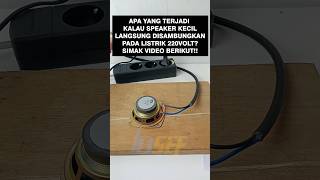 APA YANG TERJADI KALAU SPEAKER KECIL DIKASIH TEGANGAN 220VOLT? #soundhoreg #subwoofer #speakers