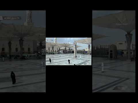 اقرؤوا الزهراوين البقرة وآل عمران اللهم صل وسلم وبارك على نبينا محمد وعلى آله