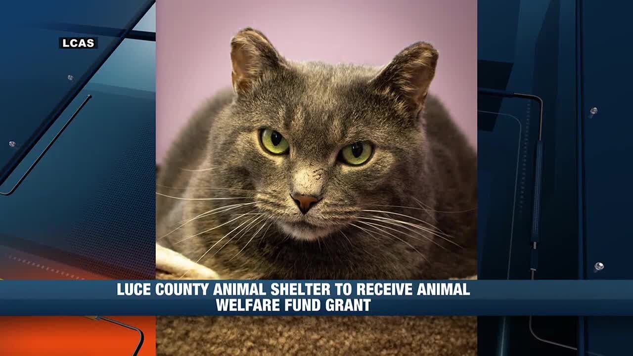 Luce County Animal Shelter to receive 2024 Animal Welfare Fund grant