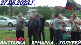 Голуби 💥 Выставка Ярмарка 💥 27.05.2023.г. Г. Сальск. Ростовская. обл. 🎥🕊️🇷🇺