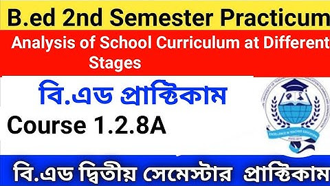 B.ed 2nd semester practicums pdf | course 1.2.8A | Analysis of School Curriculum at Different Stages