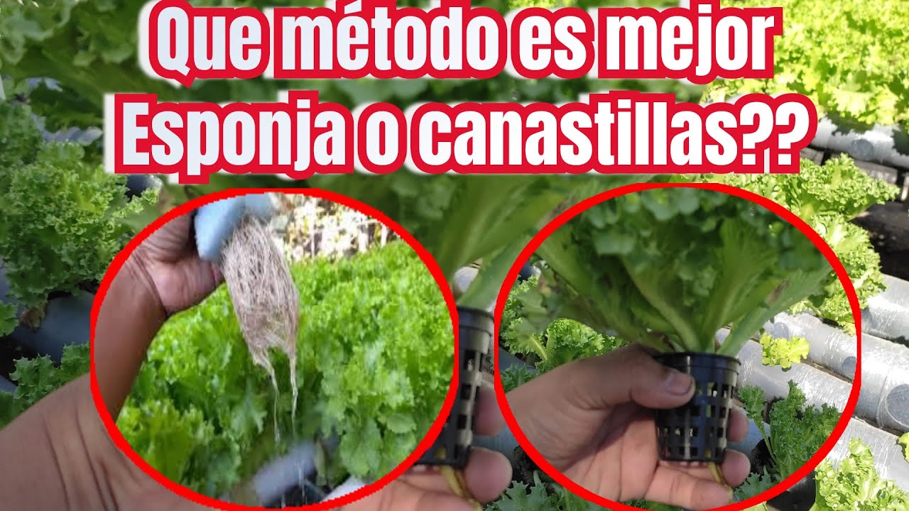 cuál método da mejores resultados?