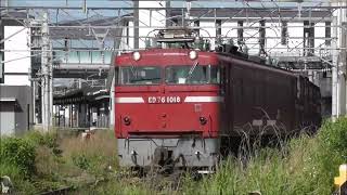 JR貨物　ED76 1018形　機関車が牽引する。大型コンテナ多数積載　 和泉屋踏切、宮田踏切　撮影日2024.5.17