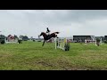 SLF 21 07 2025 Cazita Ter Schellebeek Mare 2025 By Ecclestone Z SLF 21 07 2025 Cazita Ter Schellebeek Mare 2025 By Ecclestone Z