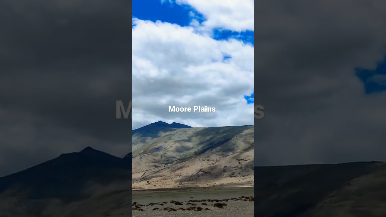 Moore Plains Ladakh
